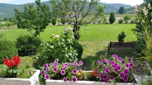Vonkajšia záhrada v ubytovaní MY DALMATIA - Sport and Spa villa Neoric with private heated pool and tennis court