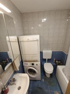 a bathroom with a toilet and a washing machine at Stan Jovana in Pale +21 photos