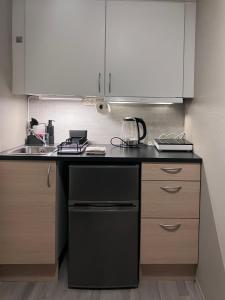 a kitchen with a sink and a black dishwasher at Sentralt beliggende studioleilighet in Gol +7 photos