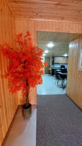 Fotografie z fotogalerie ubytování Akelvani Guest House v destinaci Kutaisi