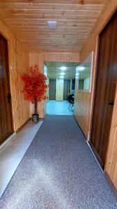 Fotografie z fotogalerie ubytování Akelvani Guest House v destinaci Kutaisi