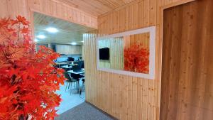 TV a/nebo společenská místnost v ubytování Akelvani Guest House
