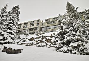 a snow covered yard with trees and a building at Totem, Friendly Hotel & Spa in Flaine