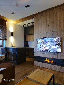 a living room with a fireplace and a tv on a wall at Jahorina Apartman Dvosjed B 10 in Jahorina
