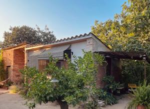 a brick house with a tree in front of it at Can TABERNER in Bigues i Riells