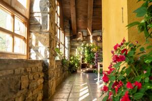 Zahrada ubytování Casa María Berna