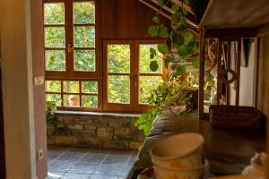 Zahrada ubytování Casa María Berna