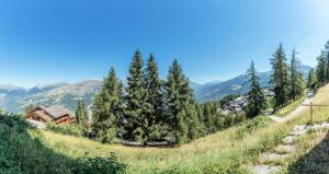 Φυσικό τοπίο κοντά σε αυτό το διαμέρισμα +4 φωτογραφίες