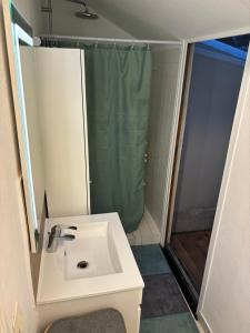 Koupelna v ubytování Élégant T3 - Cœur de Fontainebleau - 300 m du château + 14 fotografií