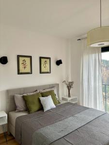 a bedroom with a large bed and a window at Tornik view villa Zlatibor 2 in Ribnica +21 photos