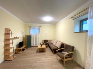 Televízia a/alebo spoločenská miestnosť v ubytovaní Apartmány Ados