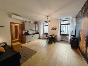 Kuchyň nebo kuchyňský kout v ubytování RivApartmentsDowntowN Urban