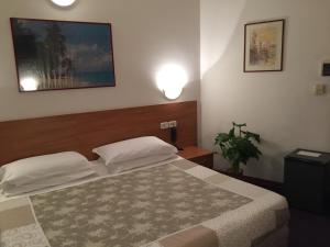 Posteľ alebo postele v izbe v ubytovaní Hotel San Marco