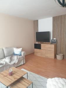 a living room with a couch and a flat screen tv at Apartman Triangel 1-04 in Donovaly