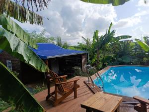 Hồ bơi trong/gần Le Paradis des Colibris Gîte créole avec piscine table dhôtes et nature à Anse Bertrand