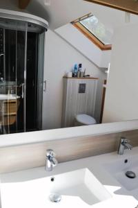 ein Badezimmer mit einem Spiegel, einem Waschbecken und einem WC in der Unterkunft Chalet Au Cottage des Lynx in Xonrupt-Longemer