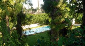 A garden outside El Sequer Casa Rural