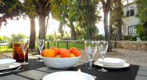 A garden outside El Sequer Casa Rural