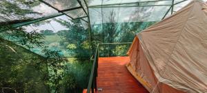 an inside view of a glass house with a walkway at Glamping Butterflay Garden in Concepción