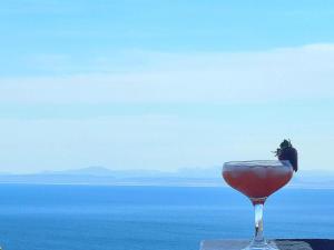a glass of wine with a bird sitting in it at The Daiquiri Shaq in St Helena Bay +16 photos