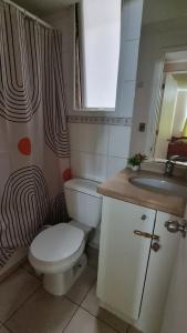 a small bathroom with a toilet and a sink at Departamento central, 2 Dormitorios 4 personas in Viña del Mar +13 photos