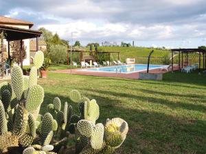 a cactus in a yard next to a swimming pool at Agriturismo Poggio al Sole, Vinci in Vinci