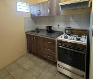 a small kitchen with a stove and a sink at YaniYami in Potrero de los Funes
