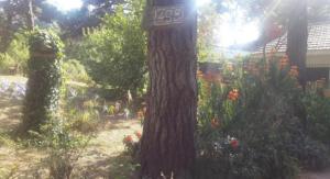 a tree with a sign on it in a garden at Chalet zona del bosque in Valeria del Mar +1 photo