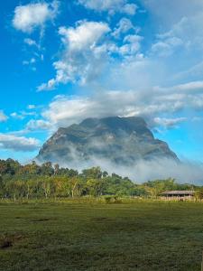 a mountain in the distance with a green field and clouds at Lomjoy House in Chiang Dao +6 photos
