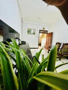 Fotografie z fotogalerie ubytování Sanithu Homestay and villa Galle v destinaci Galle