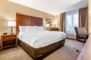 ゴドリッチにあるComfort Inn & Suitesの大きなベッドと椅子のあるホテルの部屋