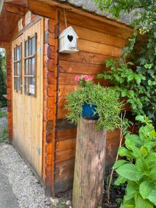 Zahrada ubytování Apartment Hiža 38