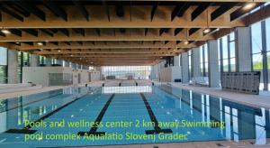 a large swimming pool in a building at Apartments Marja in Slovenj Gradec