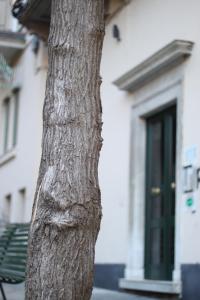 Fotografie z fotogalerie ubytování B&B Cernaia 42 v destinaci La Spezia