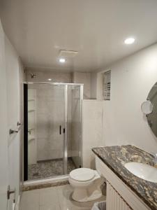a bathroom with a shower and a toilet and a sink at Chamber Inn in Edmonton +32 photos