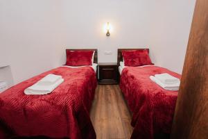トビリシにあるCondo in the old Tbilisi - on Mtawmindaの部屋に並んで置かれた2つのベッド