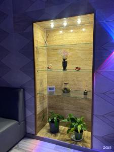 ściana z półkami z roślinami w pokoju w obiekcie Oasis апартаменты с видом на парк, возле Хан-Шатыра и медицинского центра w mieście Astana