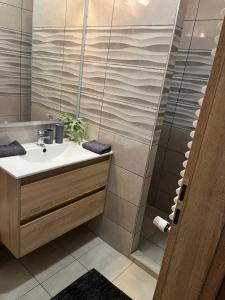 Kúpeľňa v ubytovaní Brookforest Apartman