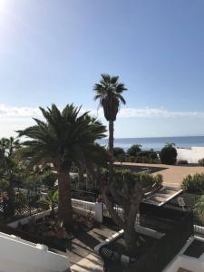 widok na ośrodek z palmami i ocean w obiekcie La playita, primera linea de mar w Puerto del Carmen
