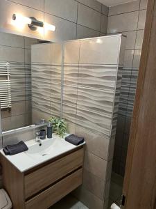 Kúpeľňa v ubytovaní Brookforest Apartman