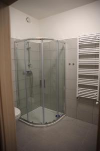 a glass shower in a bathroom with a toilet at Dom Studenta Pod Jelonkiem in Jelenia Góra