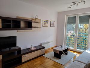 Μια τηλεόραση ή/και κέντρο ψυχαγωγίας στο Studio apartman Zvezdana Noć