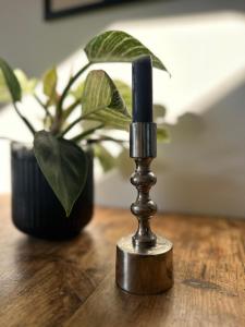 a metal candle holder on a table with a plant at Wohnung nähe alte Mainbrücke in Würzburg