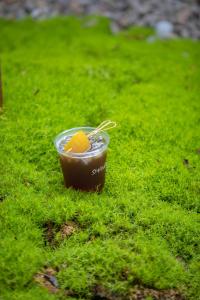 民宿内部或周边提供的食物