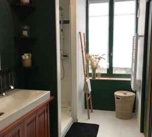 a green bathroom with a sink and a window at Jolie maison de ville au calme in Marcq-en-Baroeul