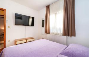 Łóżko lub łóżka w pokoju w obiekcie Cozy Home In Posedarje With Wifi
