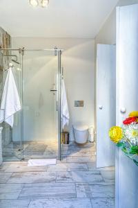 Quintal da Oliveira - Center apartment في برايا دو كارفويرو: حمام مع دش زجاجي ومرحاض