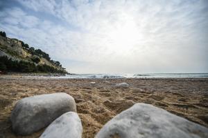 Φυσικό τοπίο κοντά σε αυτό το διαμέρισμα