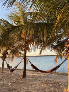 a man laying in a hammock under a palm tree on a beach at Chale Flores Do Velho Chico in Casa Nova