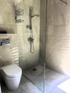a bathroom with a shower and a toilet at Maltese Coastal Escape in Sliema